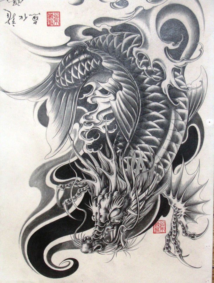736x970 Sketch Simple Koi Dragon Tattoo - Koi Dragon Sketch