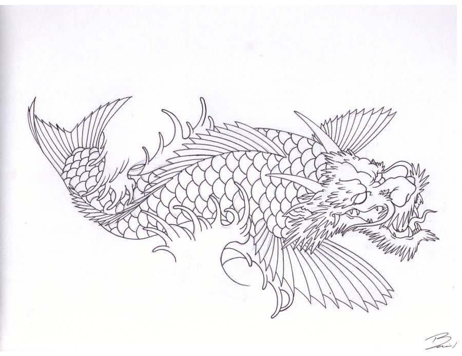 Koi Fish Dragon Drawings