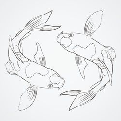 250x250 Koi Fish Sketch - Koi Fish Sketch
