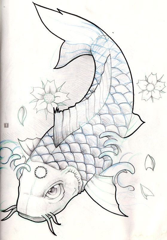 559x800 Koi Fish Tattoo Drawings Koi Fish Pencil Sketch By Olimueller On - Koi Fish Sketch