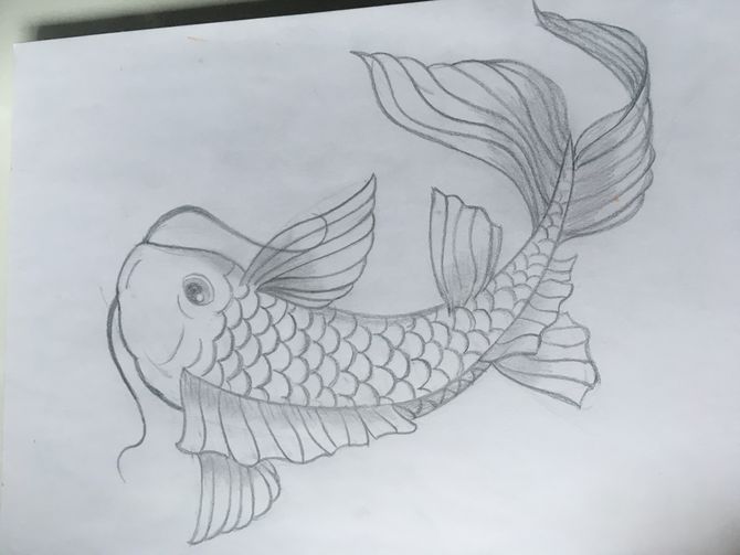 670x503 How To Draw A Koi Fish 7 Steps (With Pictures) - Koi Fish Sketch