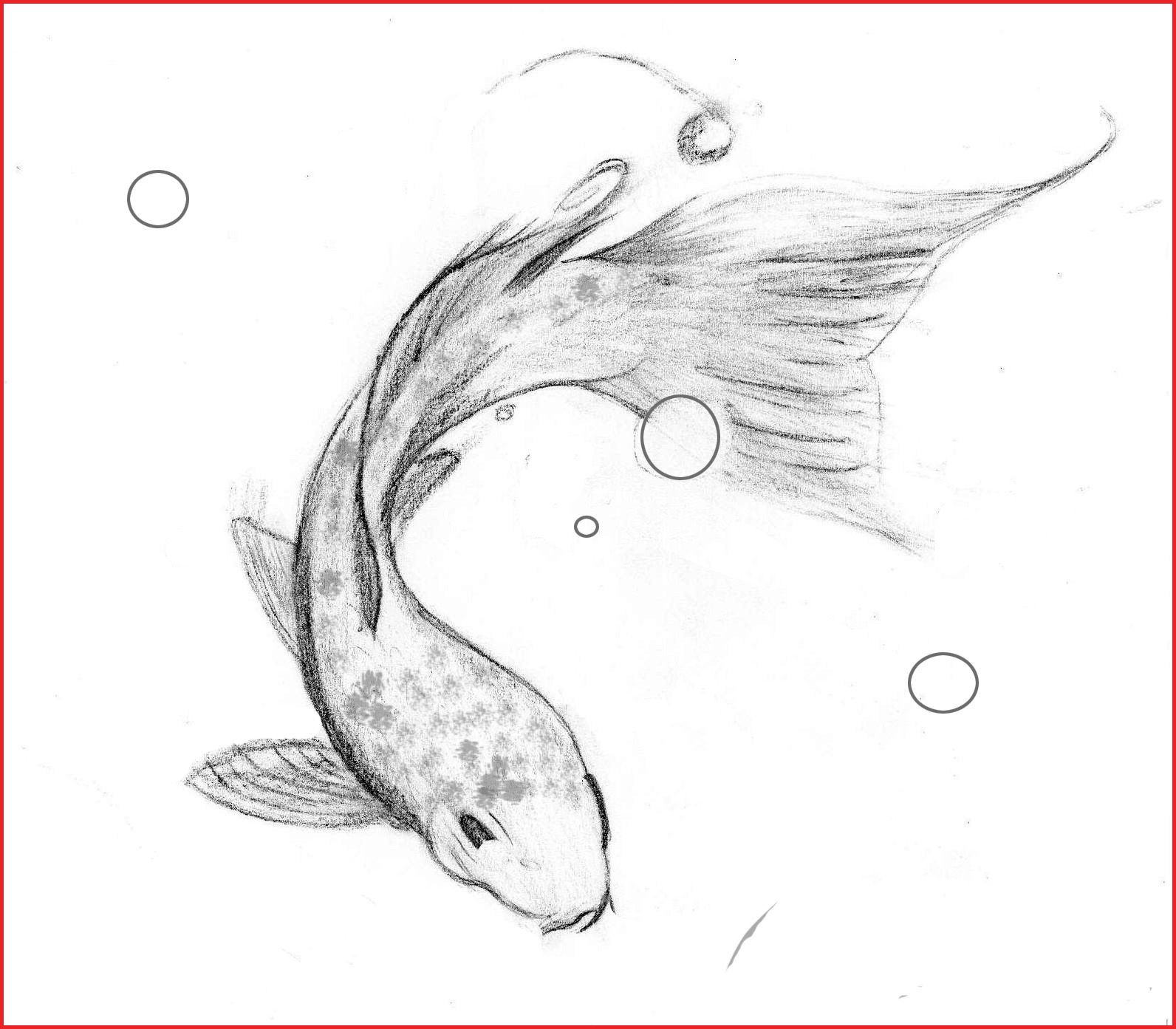 1592x1393 Koi Fish Tattoo Draw Wikihow Picturesque - Koi Fish Tattoo Sketch