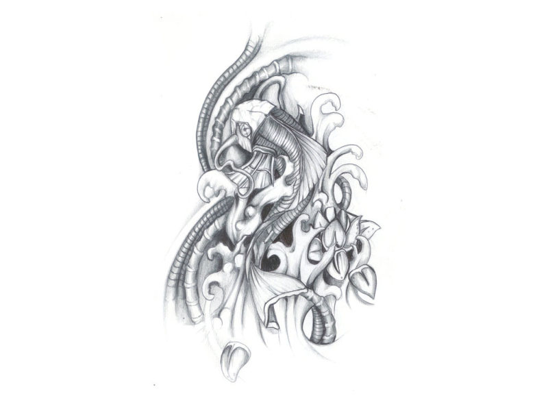 800x600 Koi Fish Tattoo Sketch 2 - Koi Fish Tattoo Sketch