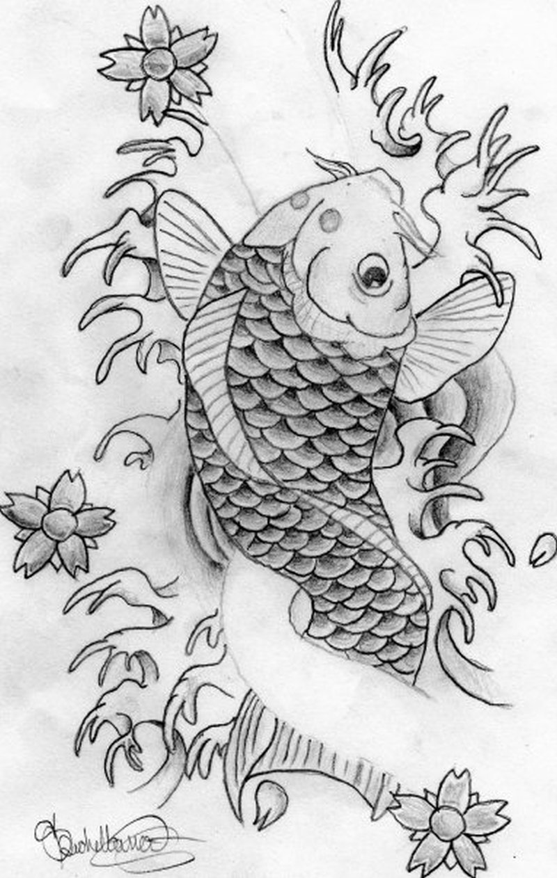 800x1262 Again Koi Fish Tattoo Sketch - Koi Fish Tattoo Sketch