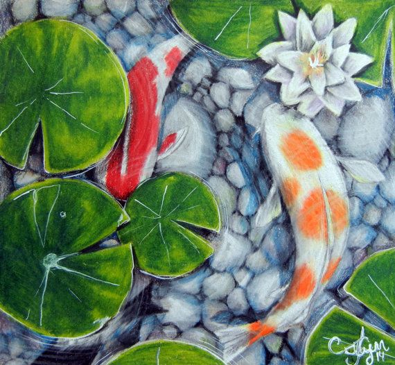 570x526 Koi Pond Original Artwork Colored Pencil Drawing - Koi Pond Sketch