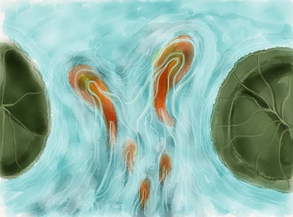 600x444 Koi Pond Sketch Photography By Christopher Johnson - Koi Pond Sketch