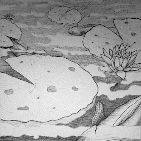 476x476 Koi Pond Panel Two Sketch By Kupenda Damu - Koi Pond Sketch