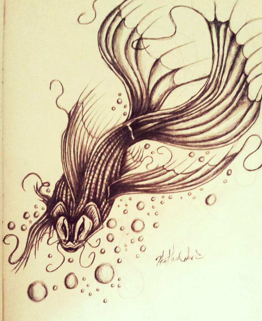 836x1024 Koi Fish Sketch Arts And Ocs Amino - Koi Sketch