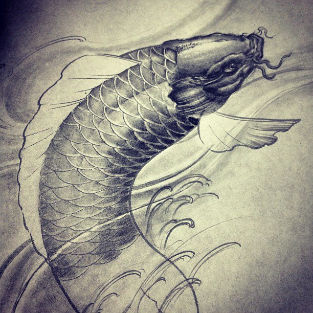 612x612 Koi Fish Sketch Tattoo Design. Golden Iron Tattoo Studio - Koi Sketch