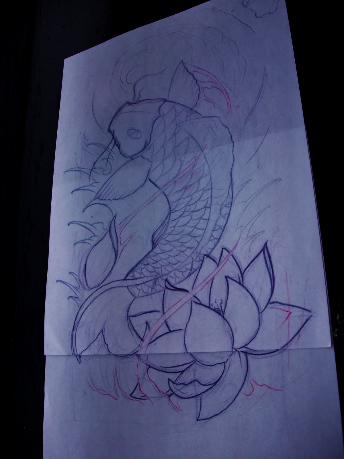 1200x1600 Custom Tattooing By Dan Bertram Sketch And Line Drawing For Koi - Koi Sketch