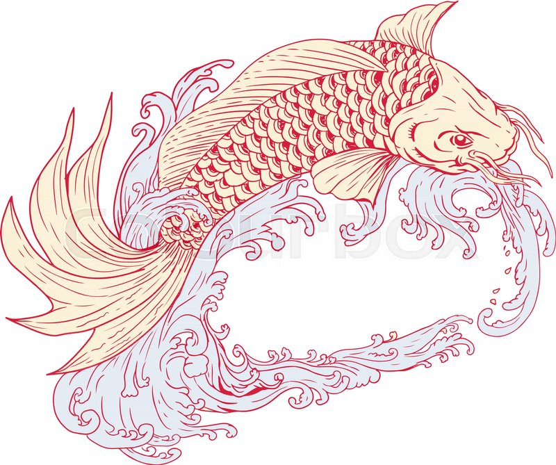 800x669 Drawing Sketch Style Illustration Of A Koi Or Nishikigoi, Fish Of - Koi Sketch