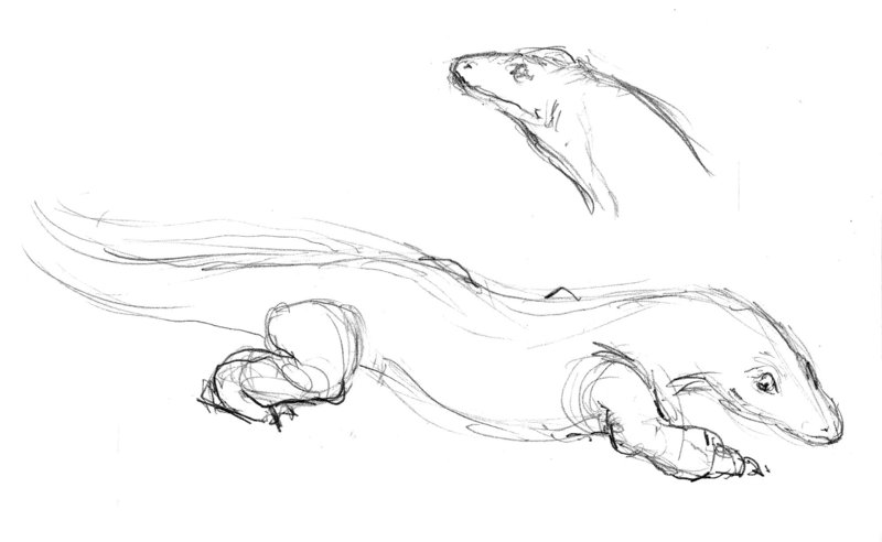 800x492 Komodo Dragon By Kolidescope - Komodo Dragon Sketch