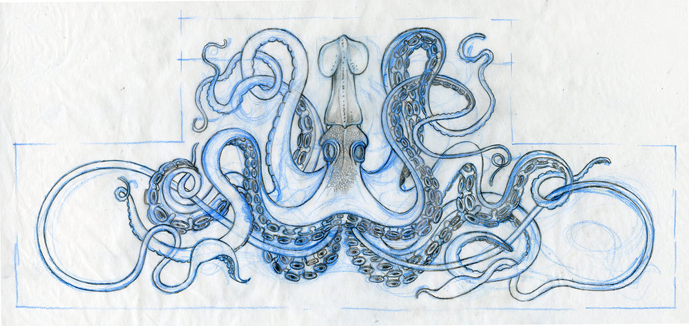 1000x474 Kitchen Kraken Oddburton - Kraken Sketch