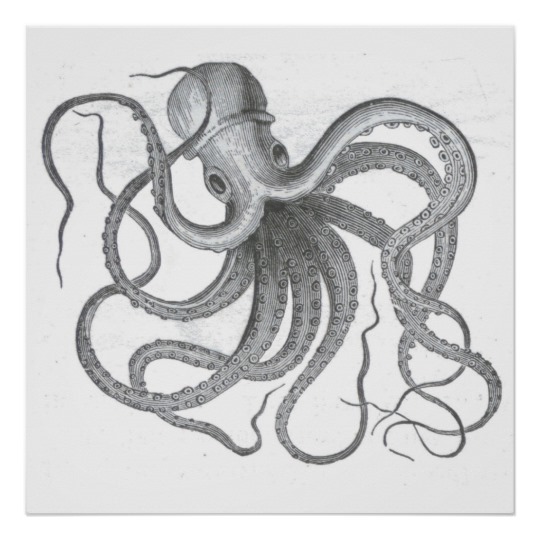 540x540 Nautical Steampunk Octopus Vintage Kraken Drawing Poster Zazzle - Kraken Sketch