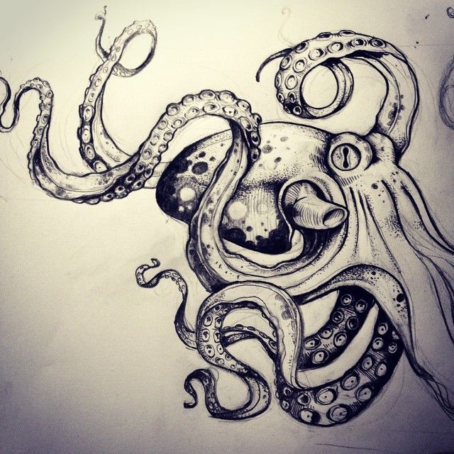 640x640 - Kraken Sketch