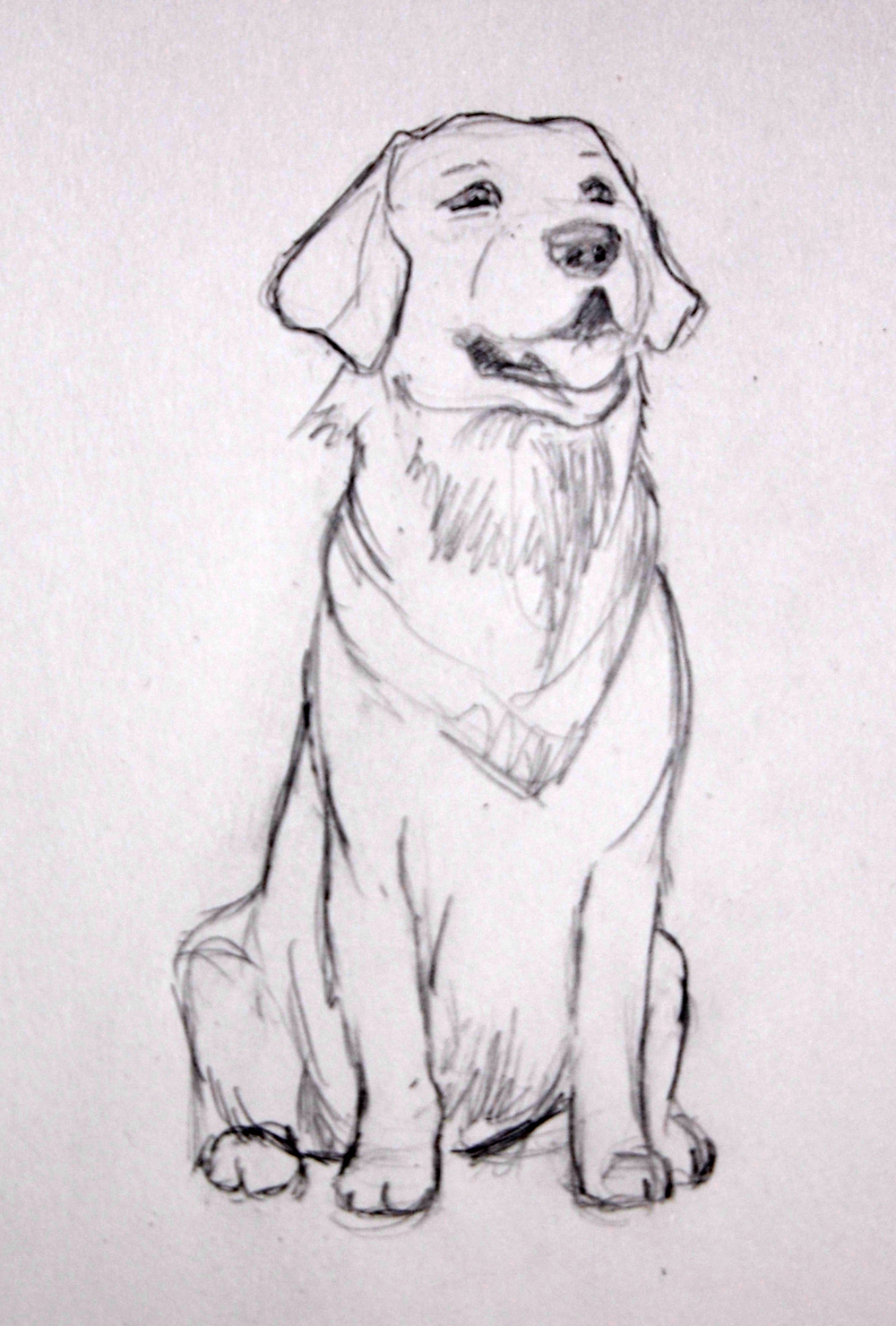 1000x1480 Lab Sketch O Rama - Lab Sketch