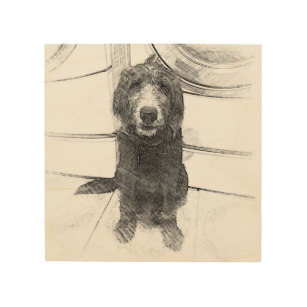307x307 Labradoodle Art Amp Wall Zazzle - Labradoodle Sketch