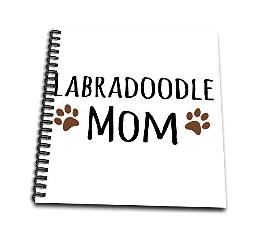 522x474 3drose Db 154149 2 Labradoodle Dog Mom Doggie By Breed Brown Muddy - Labradoodle Sketch