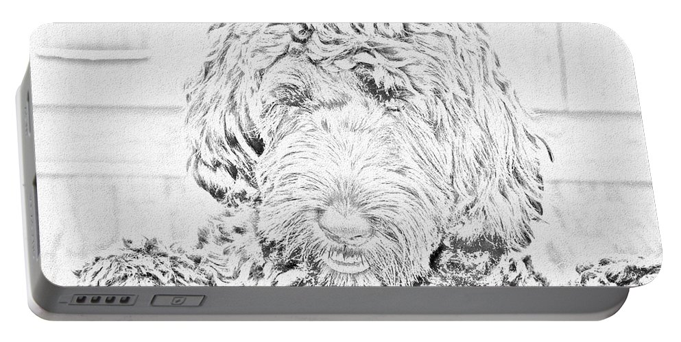 993x500 Labradoodle Sketch Portable Battery Charger For Sale By Karen - Labradoodle Sketch