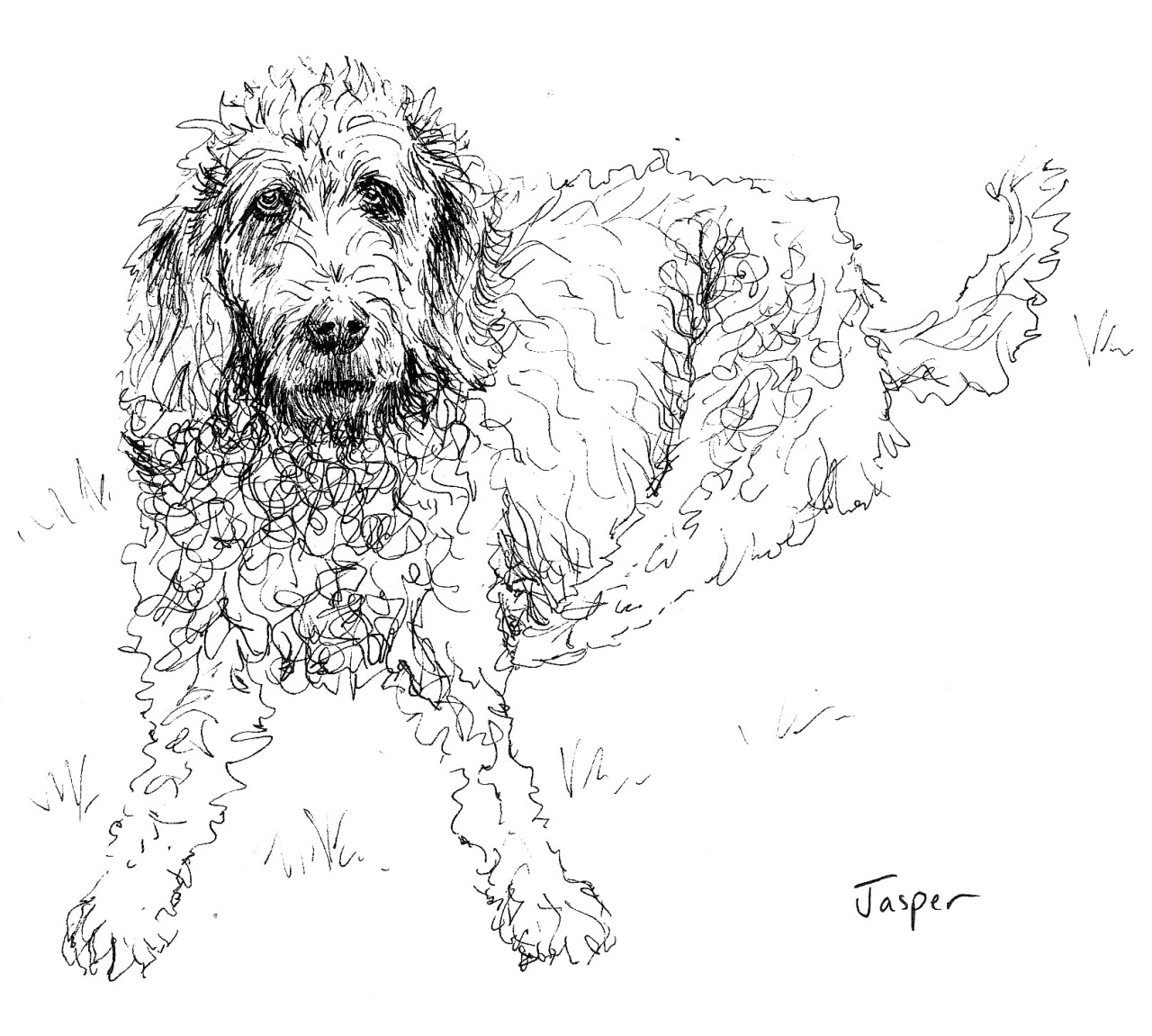 1280x1151 Richard Pettitt Art L For Labradoodle. A Few People, Mostly - Labradoodle Sketch