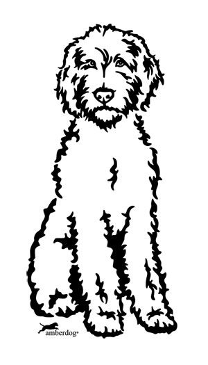 300x525 Labradoodle Drawing - Labradoodle Sketch