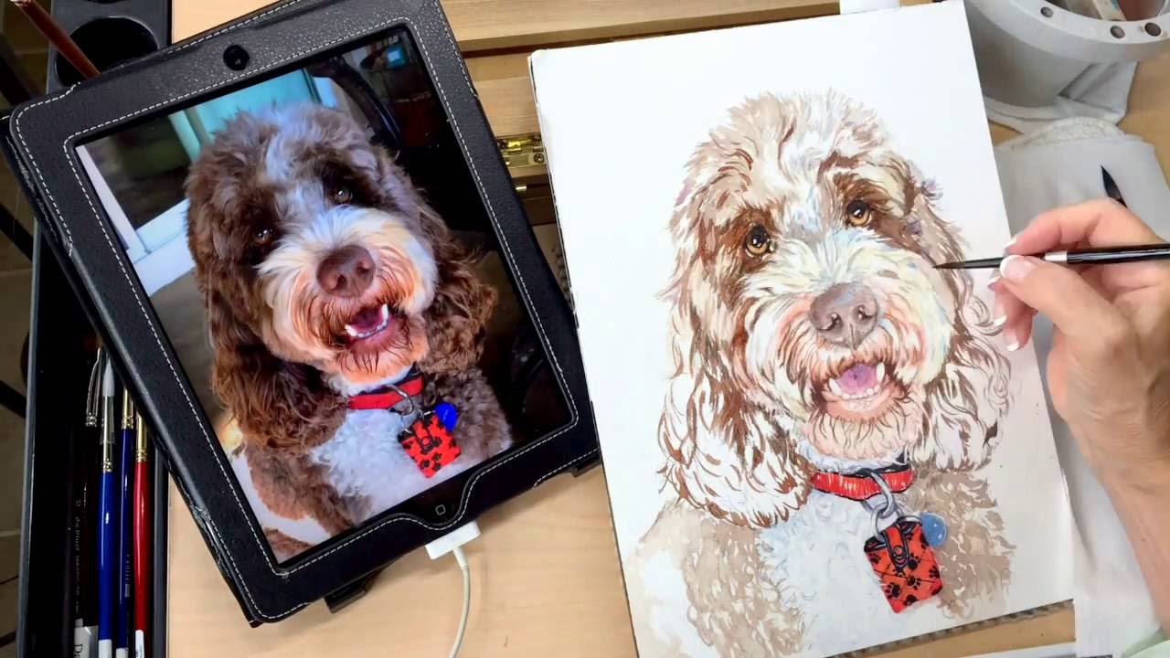 1280x720 Bailey The Australian Labradoodle - Labradoodle Sketch