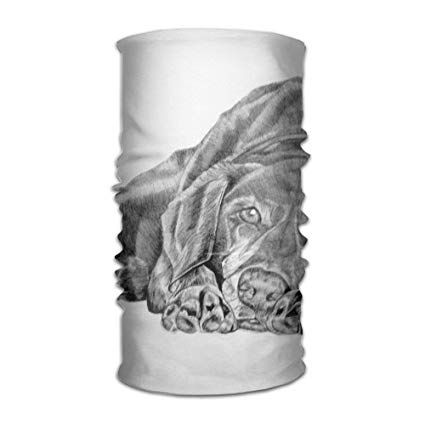 425x425 Labrador Retriever Dog Sketch Unisex Fashion Quick - Labrador Dog Sketch