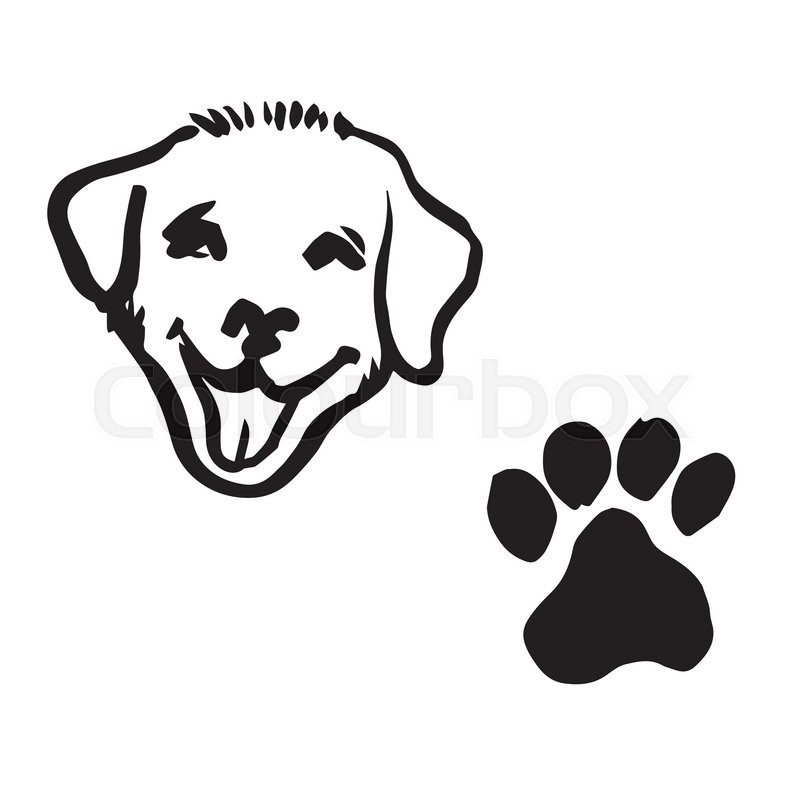 800x800 Freehand Sketch Illustration Of Labrador Retriever Puppy Dog - Labrador Dog Sketch