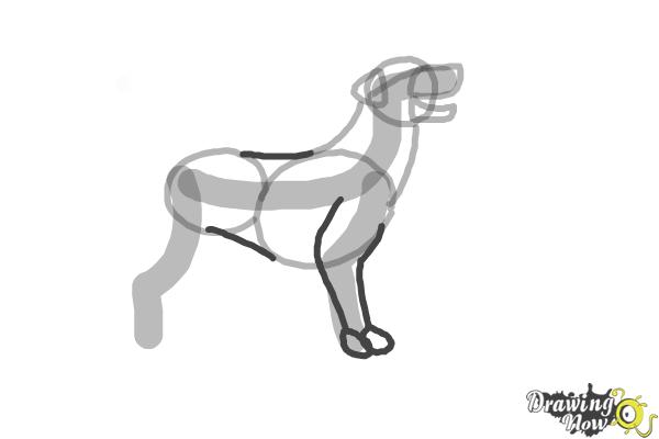 600x400 How To Draw A Black Labrador Retriever - Labrador Retriever Sketch