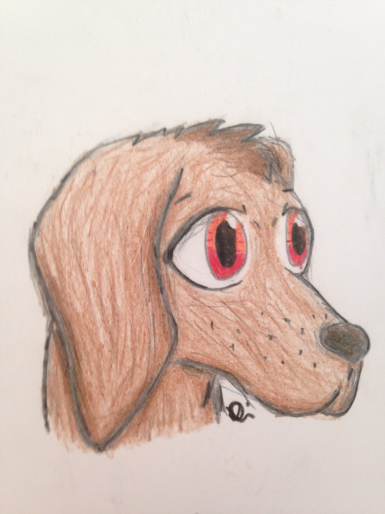 774x1032 Labrador Retriever Sketch By Draggirlmon - Labrador Retriever Sketch