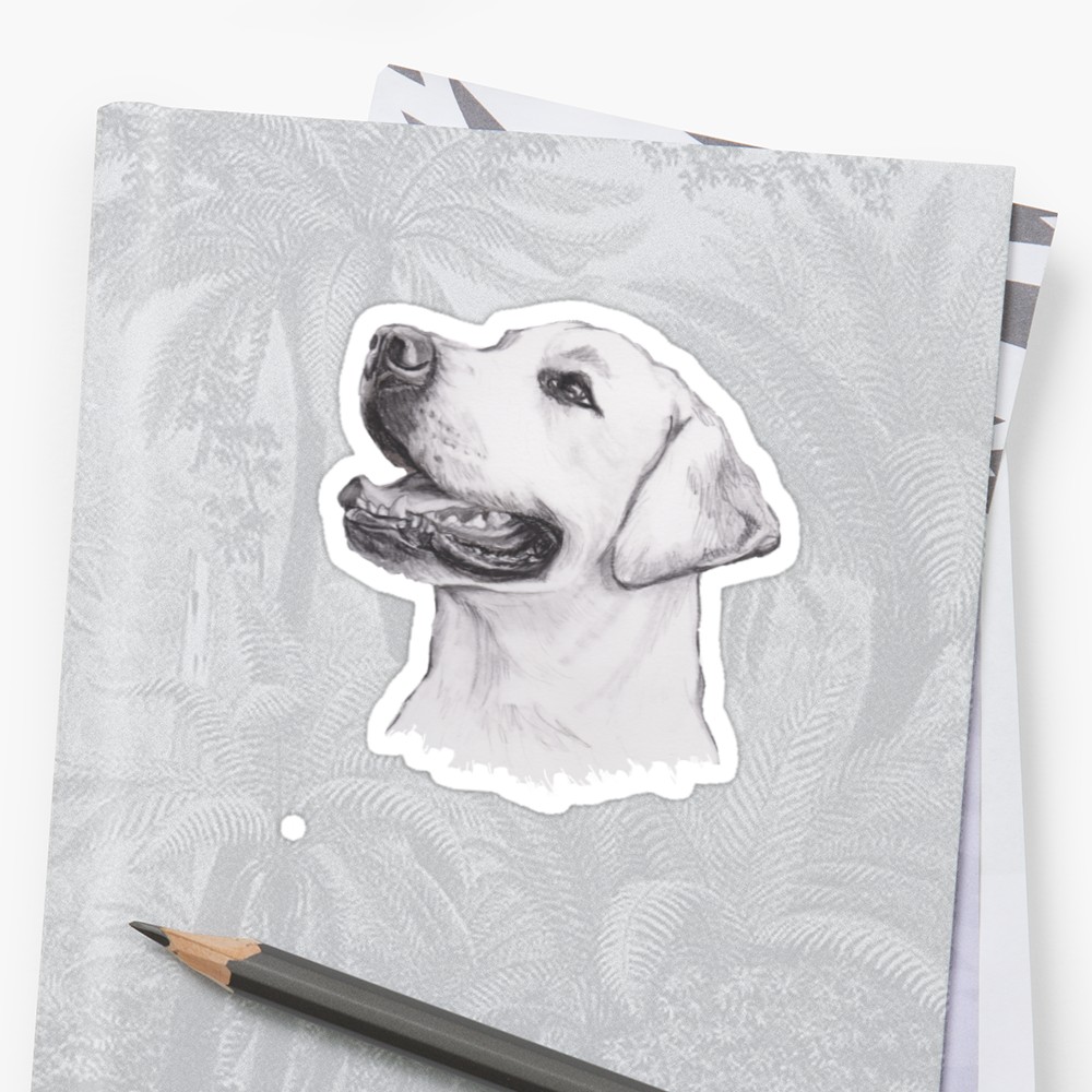 1000x1000 Labrador Retriever Dog Portrait Drawing Stickers By Lalanny - Labrador Sketch