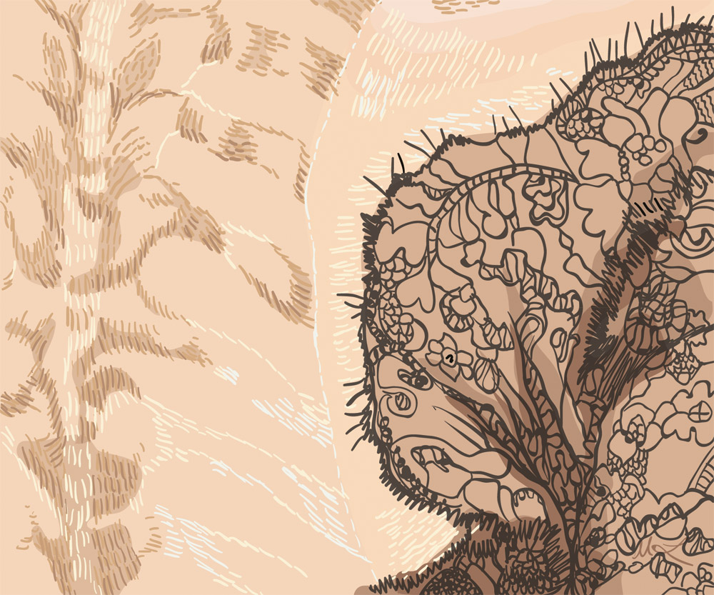 1000x833 Lace Megan Leitschuh - Lace Sketch