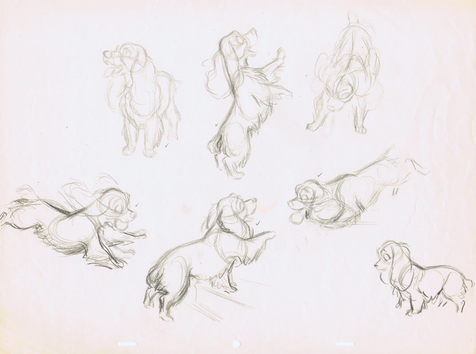 1600x1190 Drawings Lady Amp The Tramp - Lady And The Tramp Sketch
