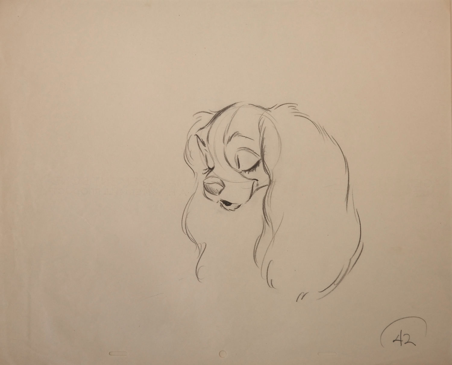 1500x1210 Lady And The Tramp Production Drawing - Lady And The Tramp Sketch