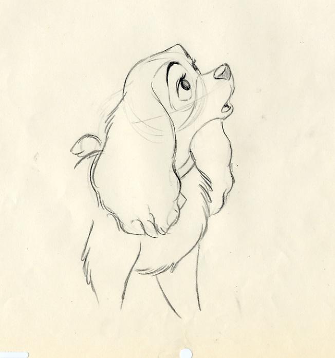 652x697 Disney Lady And The Tramp Animation Drawing Of Lady, 1955 Disney - Lady And The Tramp Sketch