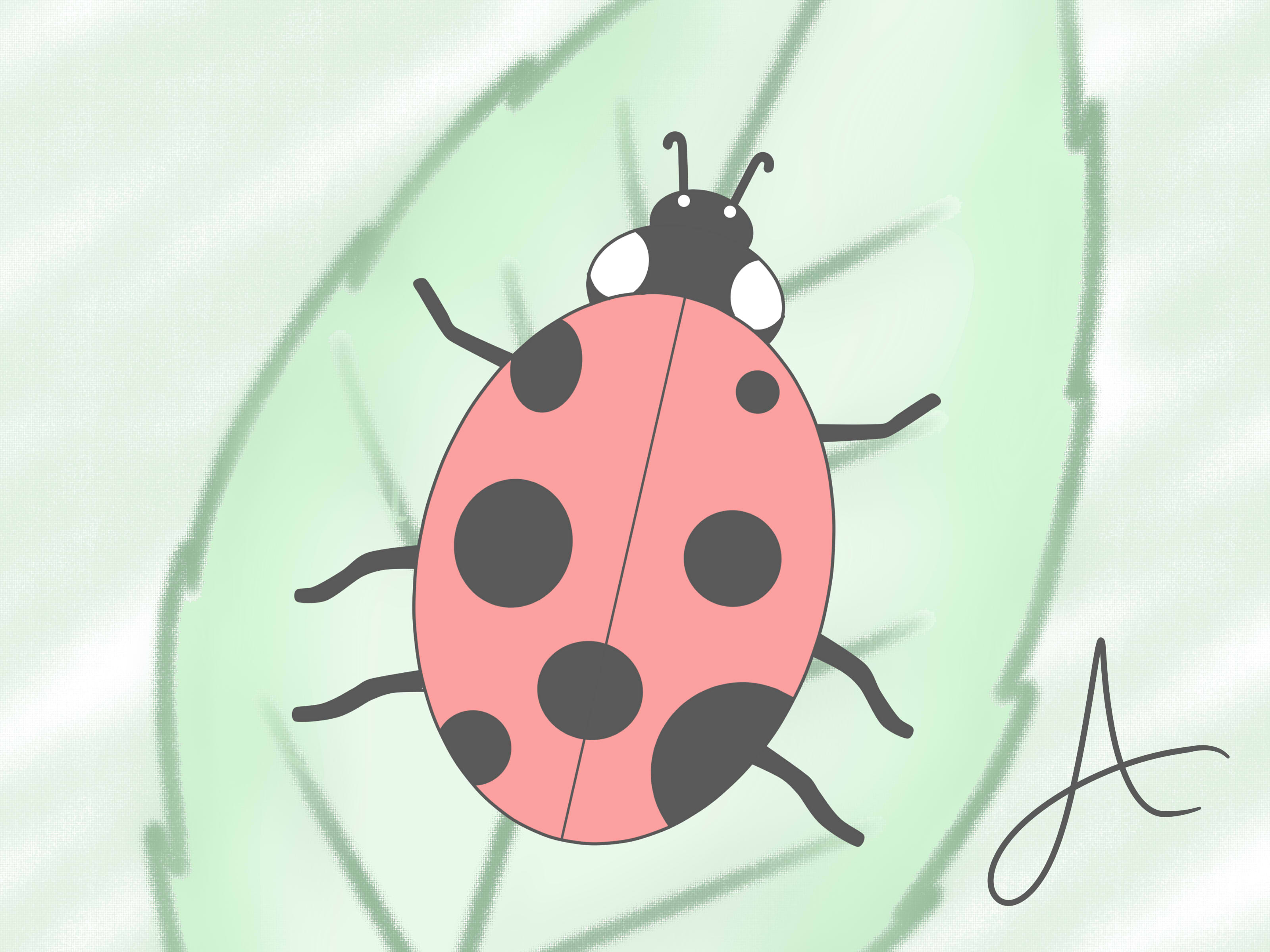 Draw Ladybird