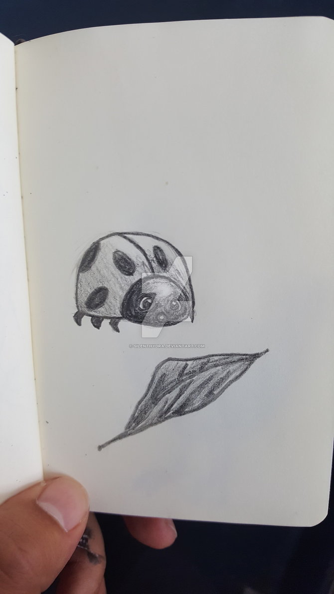 670x1191 Sketch A Day - Ladybird Sketch