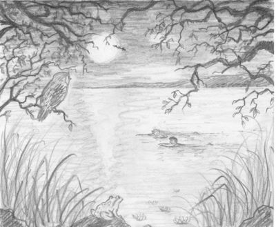 400x329 Night After Night, When The Lake Was Quiet - Lake Sketch