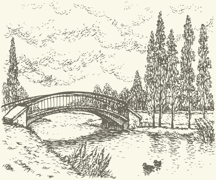 700x583 Vector Landscape. Sketch Of Park Bridge Over Lake Sticker Pixers - Lake Sketch