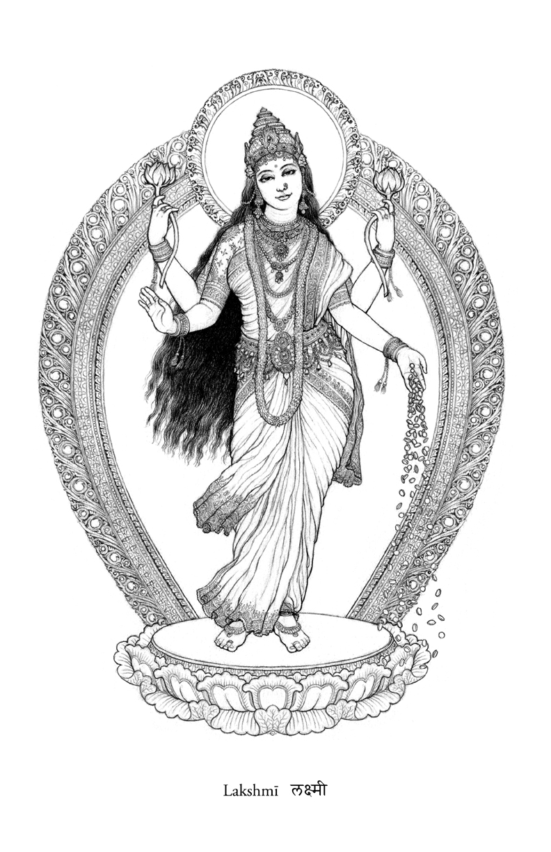792x1224 Posters - Lakshmi Sketch