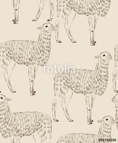 412x500 Sketch Lama Stock Image And Royalty Free Vector Files On Fotolia - Lama Sketch
