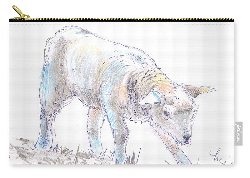 800x570 Lamb Sketch Carry All Pouch For Sale By Mike Jory - Lamb Sketch