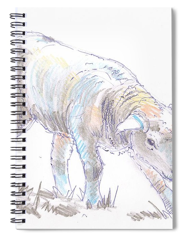 770x1000 Lamb Sketch Spiral Notebook For Sale By Mike Jory - Lamb Sketch