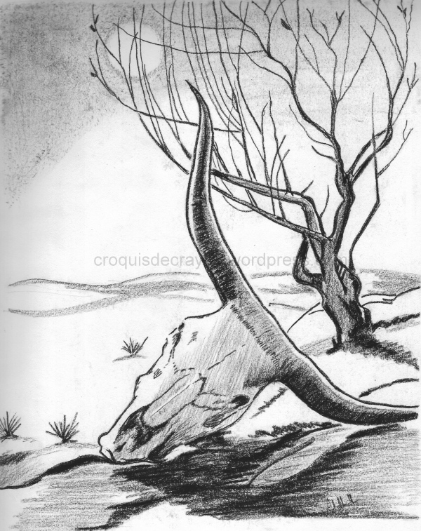 600x757 Light And Shade A Collection Of My Sketches - Land Sketch