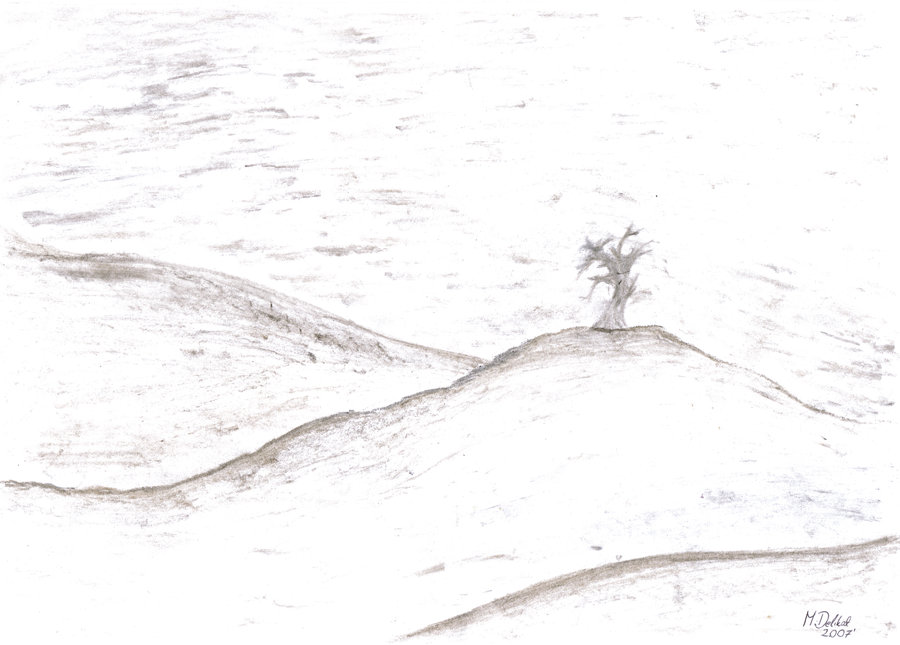 900x645 Quick Sketch - Land Sketch