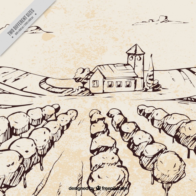 626x626 Sketch Of House On A Plot Of Land With Trees Vector Free Download - Land Sketch