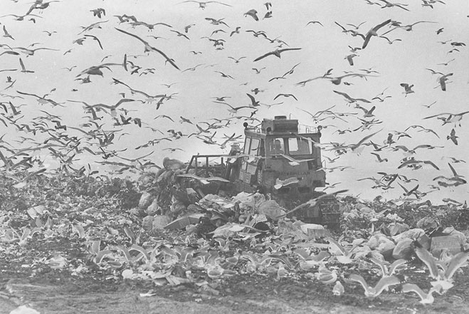 659x441 Palos Verdes Landfill South Bay History - Landfill Sketch