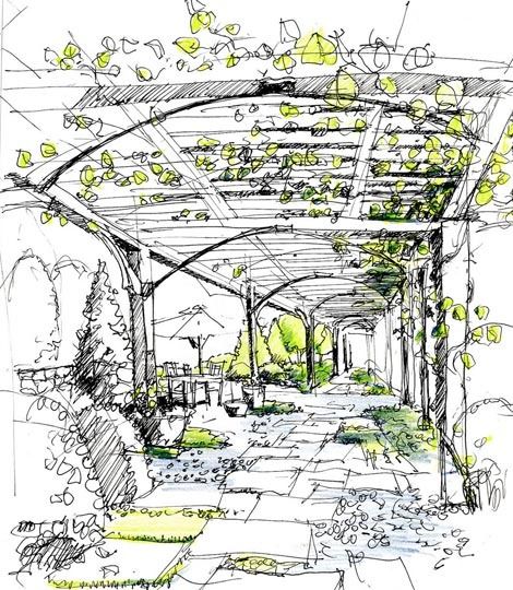 470x540 Ben Young Landscape Architect Outdoor Entertaining Spaces - Landscape Architecture Sketches