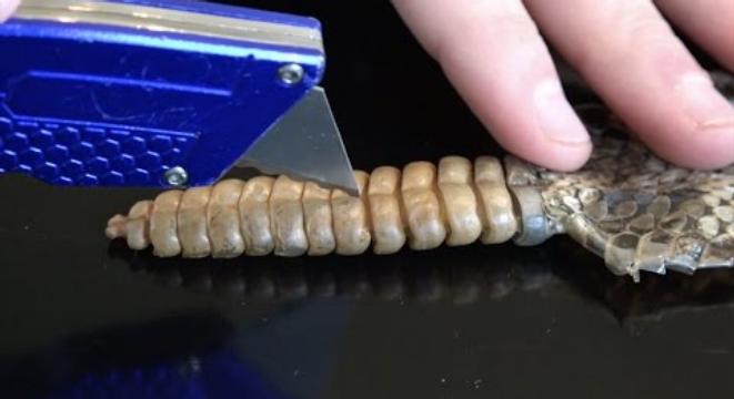 661x360 The Best Way To Find Out How An Etch A Sketch Works Is To Cut One - Large Etch A Sketch