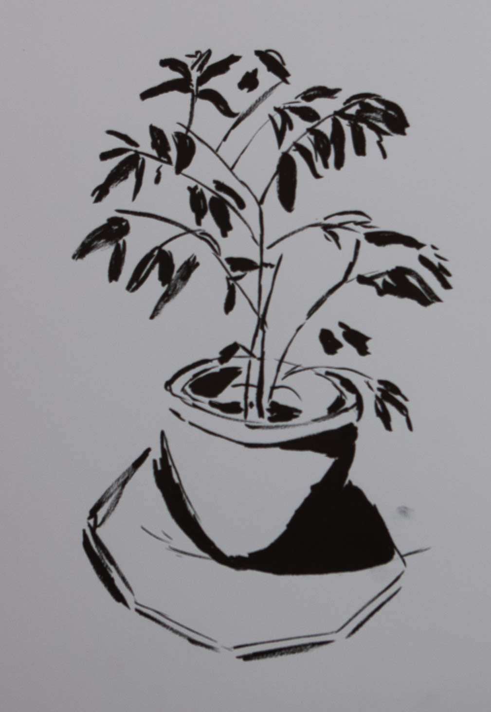 1009x1464 First Assignment Two Drawings Art Study 3d - Large Sketches